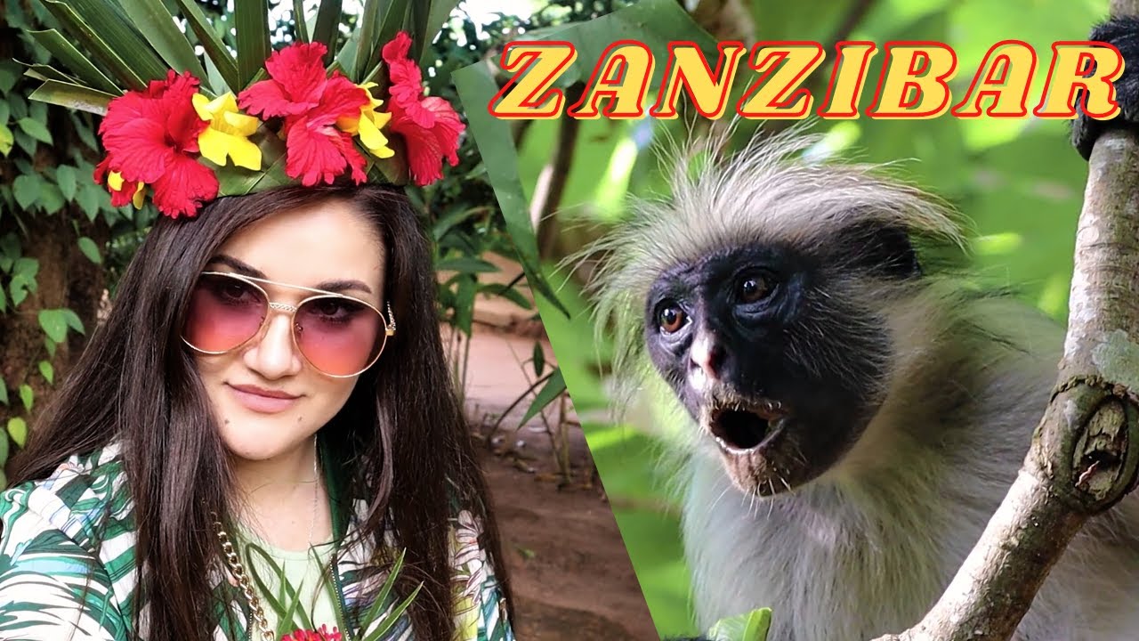 Best tours in Zanzibar | Jozani Forest, Spice Farm, and Mangrove Forest in one day