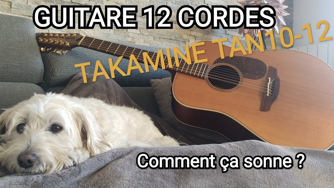 Guitare 12 cordes -TAKAMINE TAN10 12 - Comment sonne-t-elle?