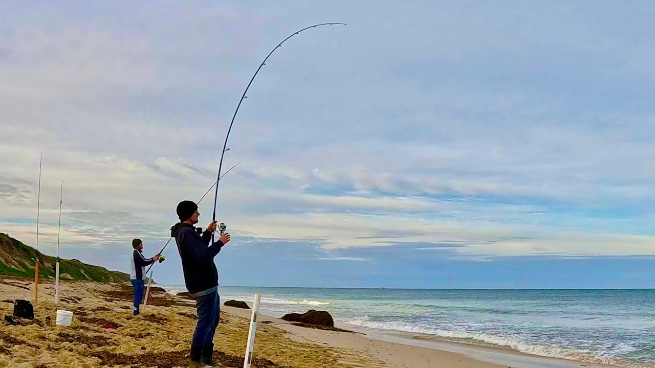 Beach Fishing the Humble Tailor “Back to Basics”