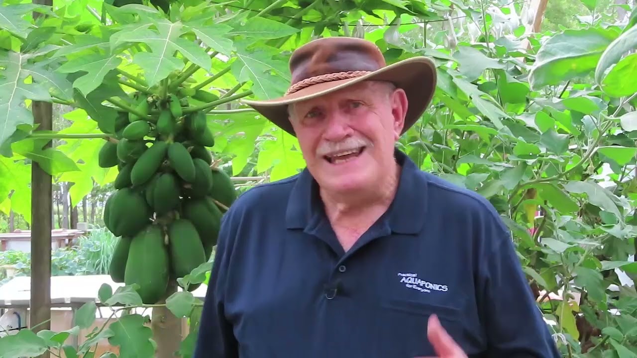 What's the Aquaponics Design Course all about?