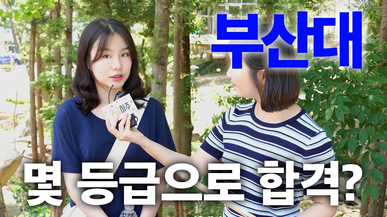 부산대, 몇 등급으로 합격했나요?ㅣ궁금하주 14화🤔