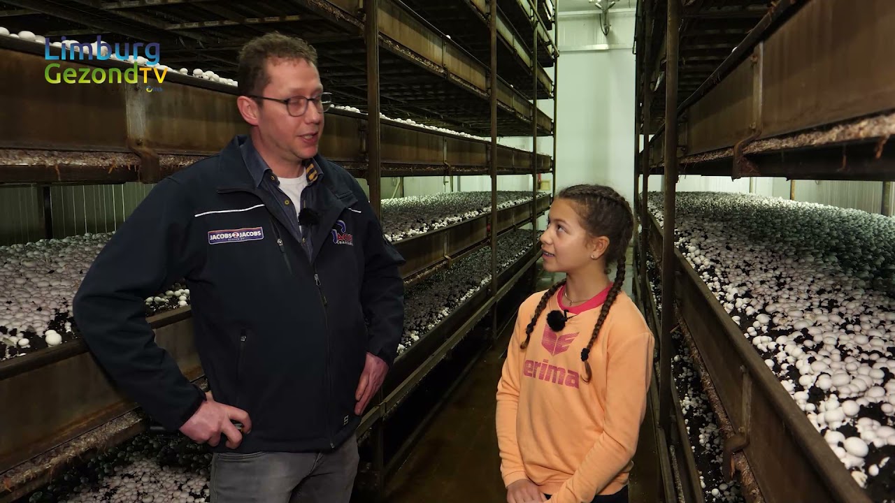 Limburg Gezond TV - Aflevering 6: Jacobs Champignons