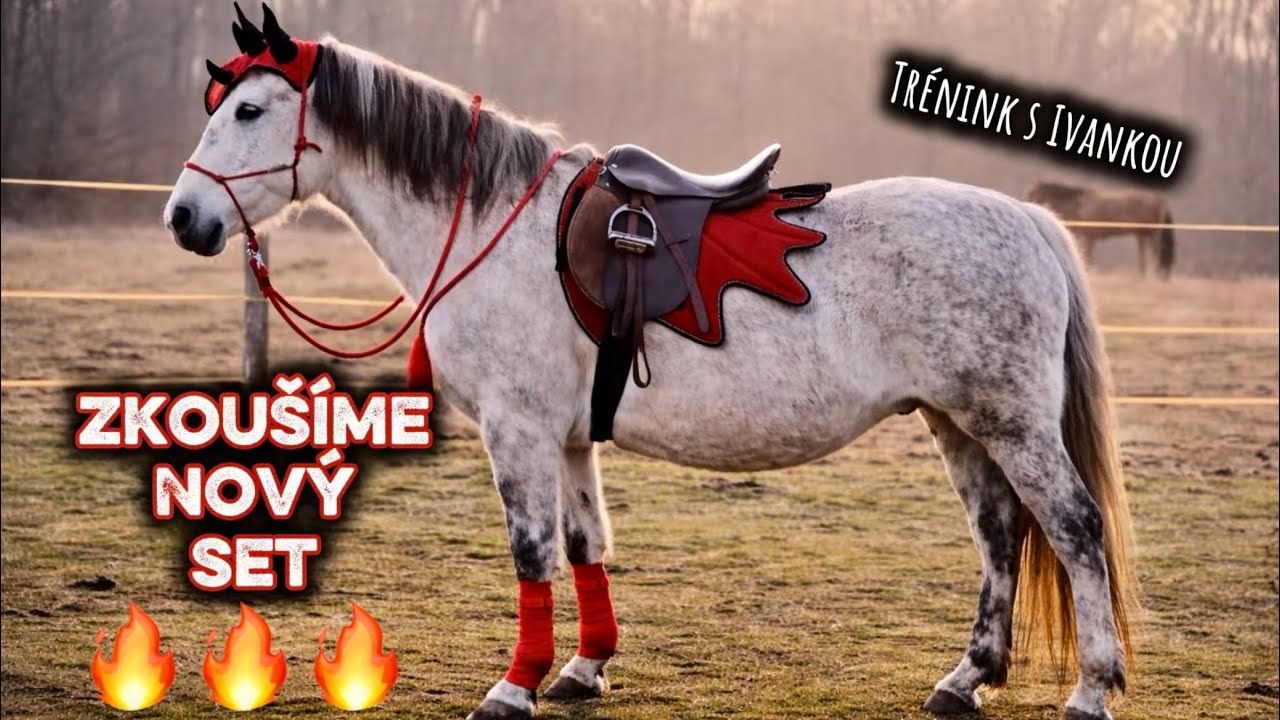 Obyčejnej VLOG od koní FRRRR