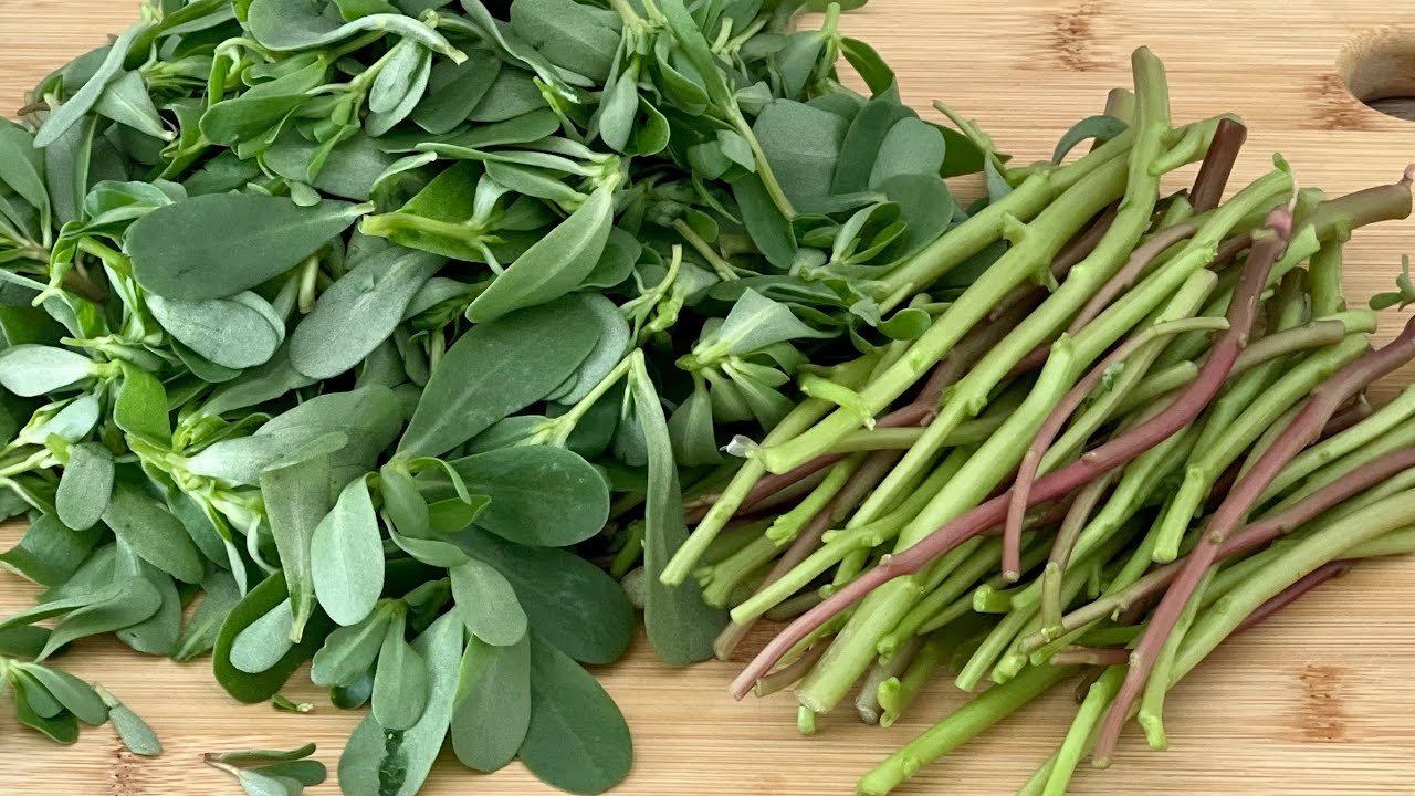 😍SEMİZOTUNU BİR KERE B&Ouml;YLE DENEYİN BAĞIMLISI OLURSUNUZ👍 SEMİZOTU YEMEĞİ NASIL YAPILIR #purslane