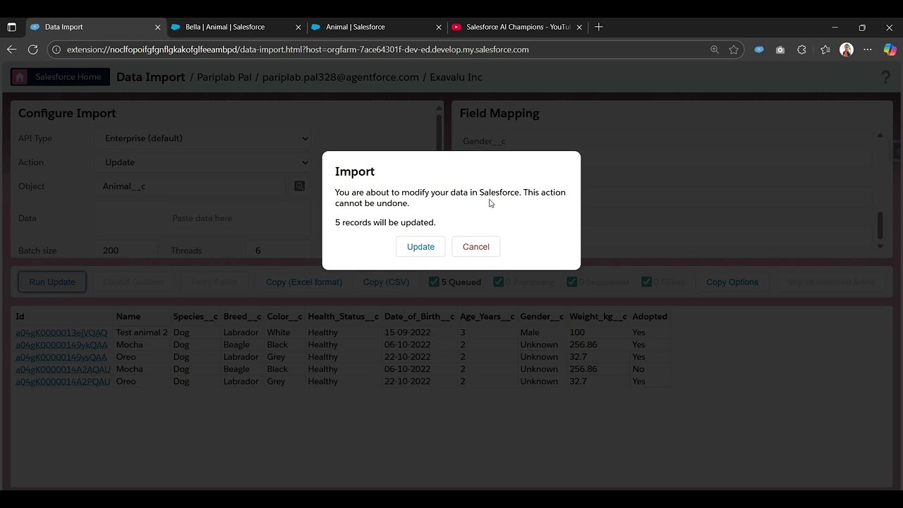 OOTB14: КАК ЭКСПОРТИРОВАТЬ И ОБНОВЛЯТЬ ЗАПИСИ SALESFORCE С ПОМОЩЬЮ INSPECTOR RELOADED