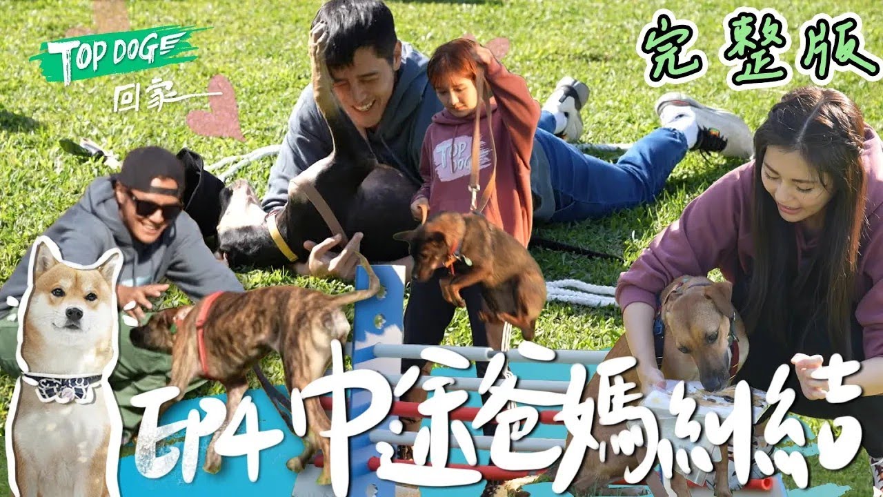 EP4 完整版SUB｜一切都往好的發展！羅志祥跟辛芭默契絕佳 胡宇威對Ozzy表現超滿意 守護者跟夥伴真的會這麼順利嗎？｜TOP DOG回家