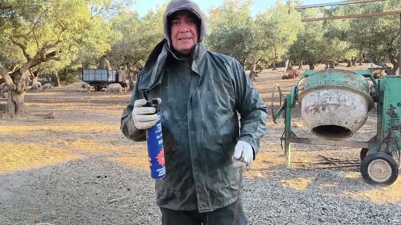 Casi nos lesionan las avispas gigantes