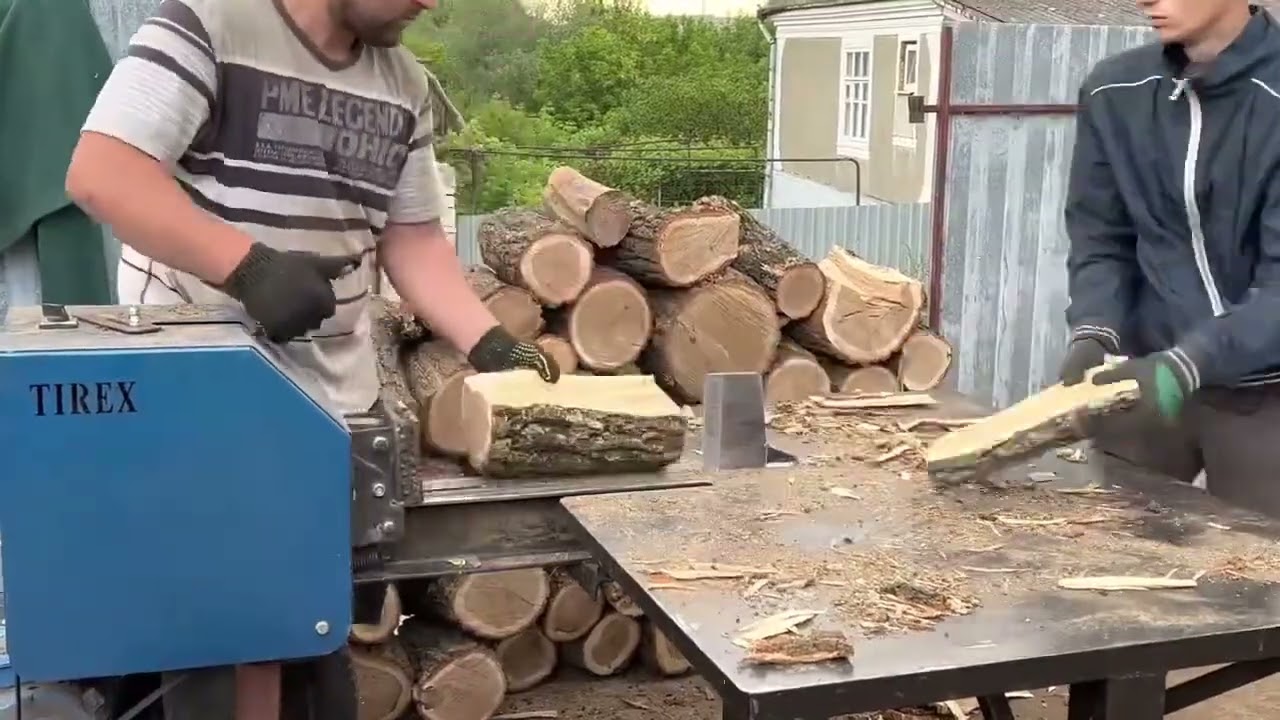 Hardwood Giants Under Crushing Force