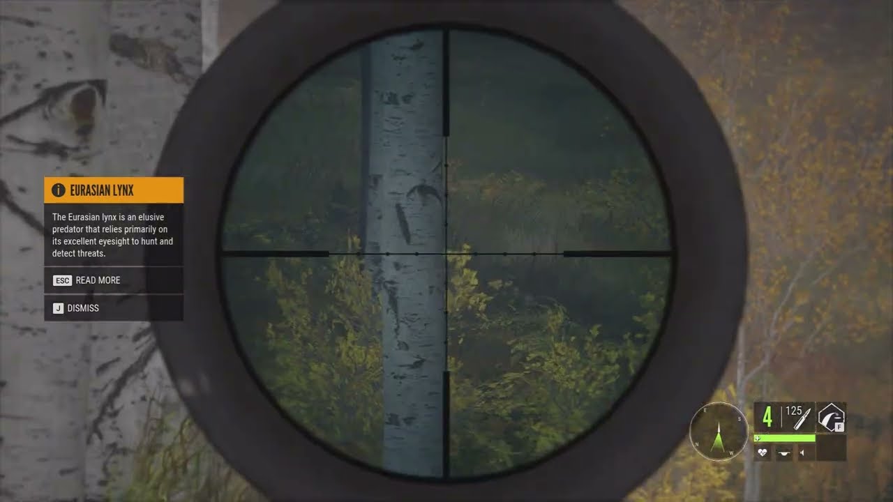 Bear, Lynx + more in | The Hunter Call Of The Wild