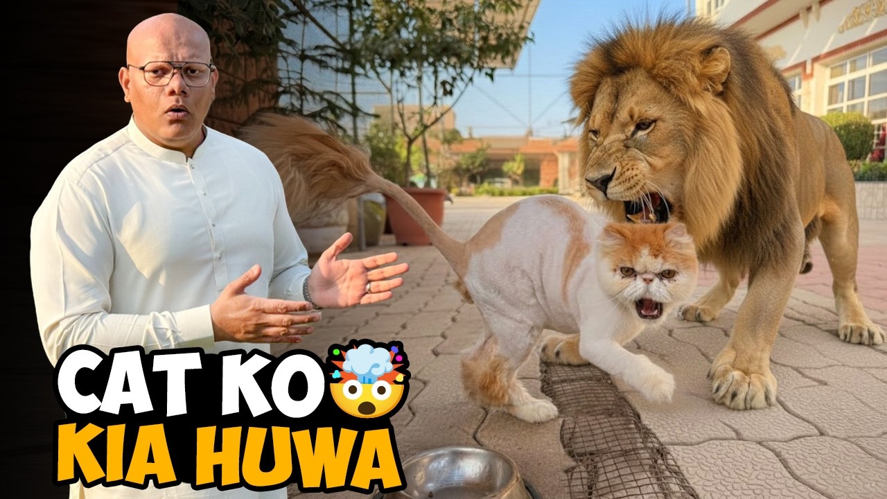 Lion Ne Cat Ki Kya Haalat Kar Di 😱 | Ahmad Ne Prank Kar Diya😂 | BT Farm Stories