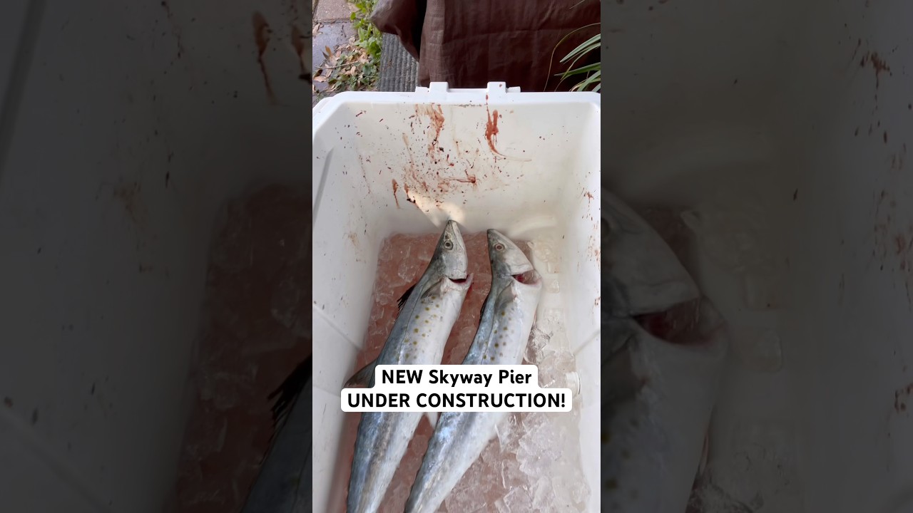 NEW FISHING PIER IN FLORIDA! Skyway Fishing Pier BIG NEWS