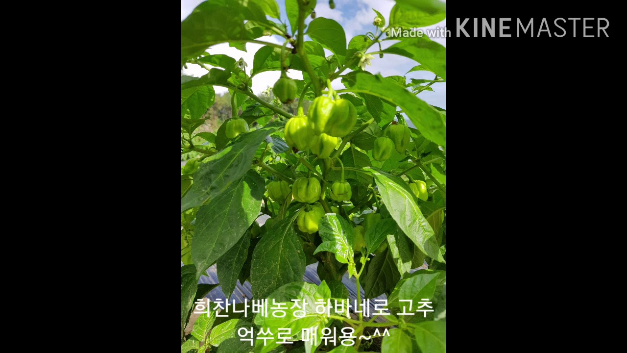 남해희찬나베농장