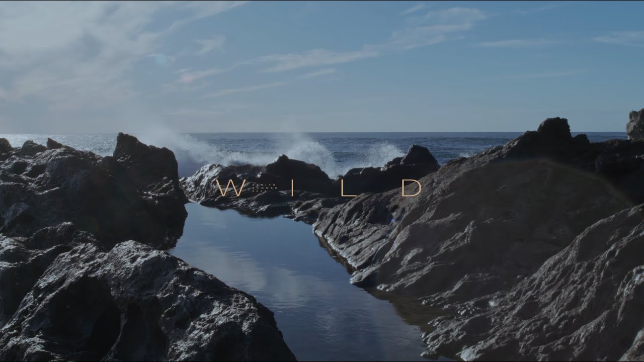 Jean Louis David // WILD // Collection Printemps Eté 2022