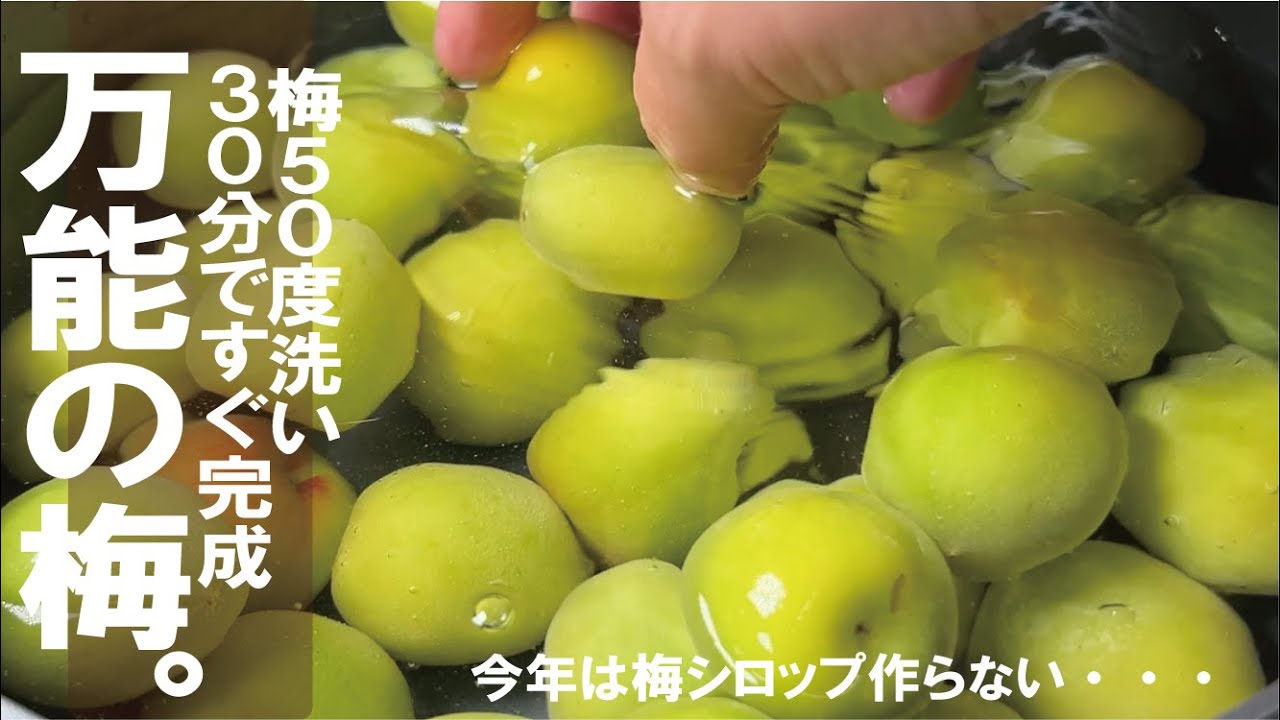 ３０分でもう完成【砂糖も塩も不要】今年の梅は全部これで冷凍しました。一番簡単で万能うめで長期間楽しむ