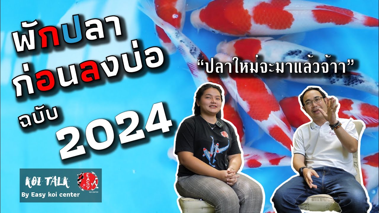 กักโรคปลาคาร์ฟ 2024 วิธีใหม่ ปลอดภัยกว่าเดิม - Koi Talk EP.63