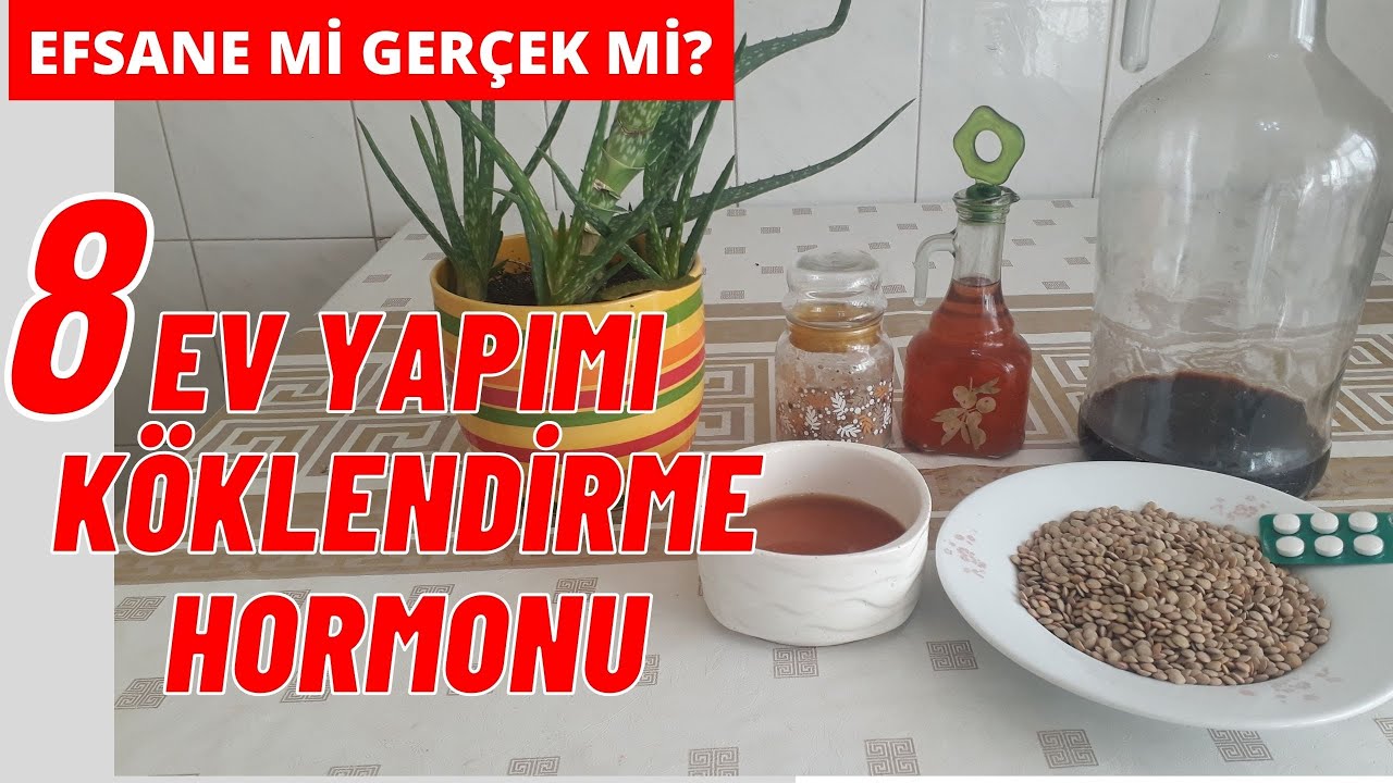 EV YAPIMI 8 KÖKLENDİRME HORMONU - ELMA SİRKESİ ASPİRİN MERCİMEK BAL TARÇIN ALOE VERA SÖĞÜT ÇAYI