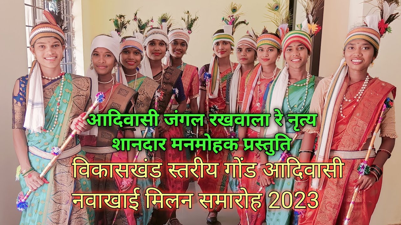 आदिवासी जंगल रखवाला रे। Adiwasi dance। आदिवासी नवाखाई मिलन समारोह 2023।Girija Watti Cg Vlog