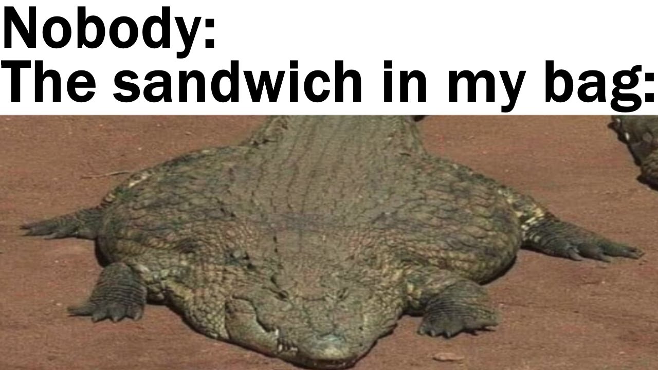 Daily Juicy Memes 553
