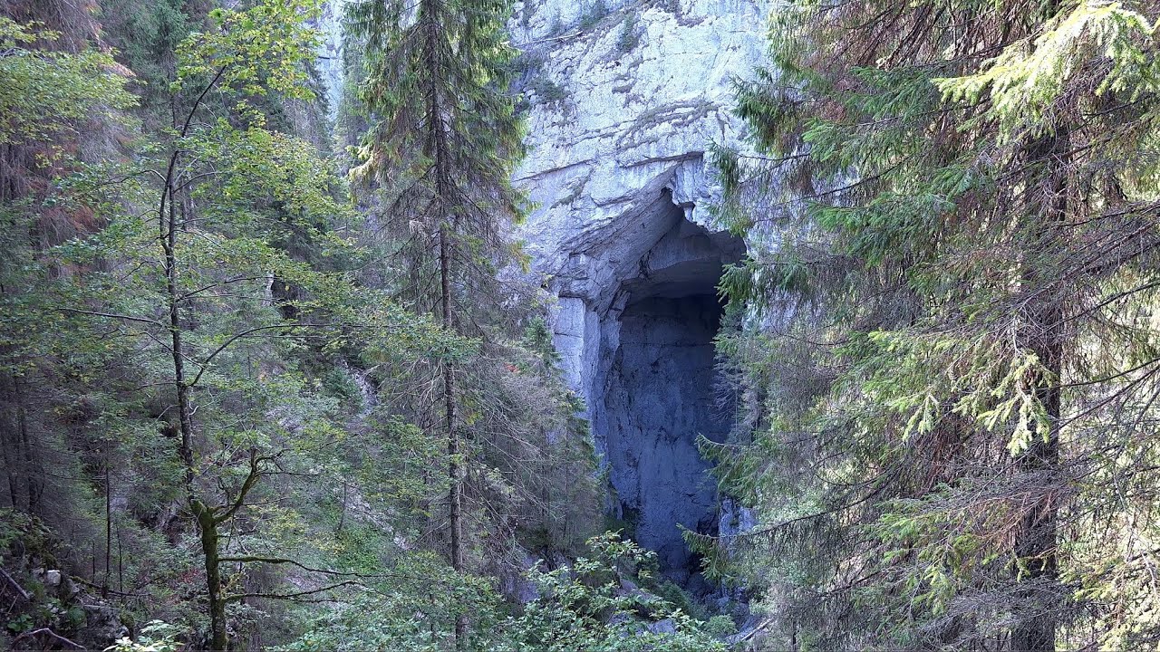 Padiș