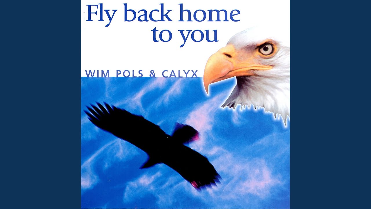Fly Back Home to You