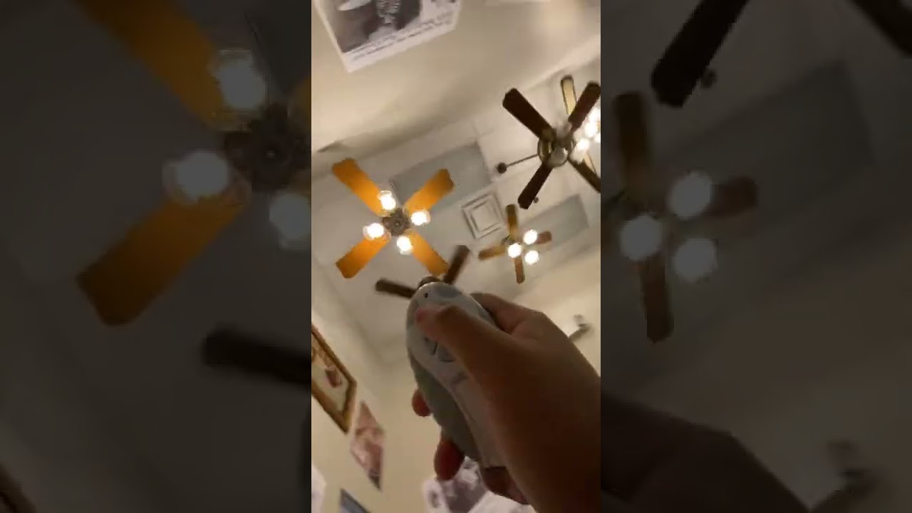 Ceiling fans at the fanimation meusem