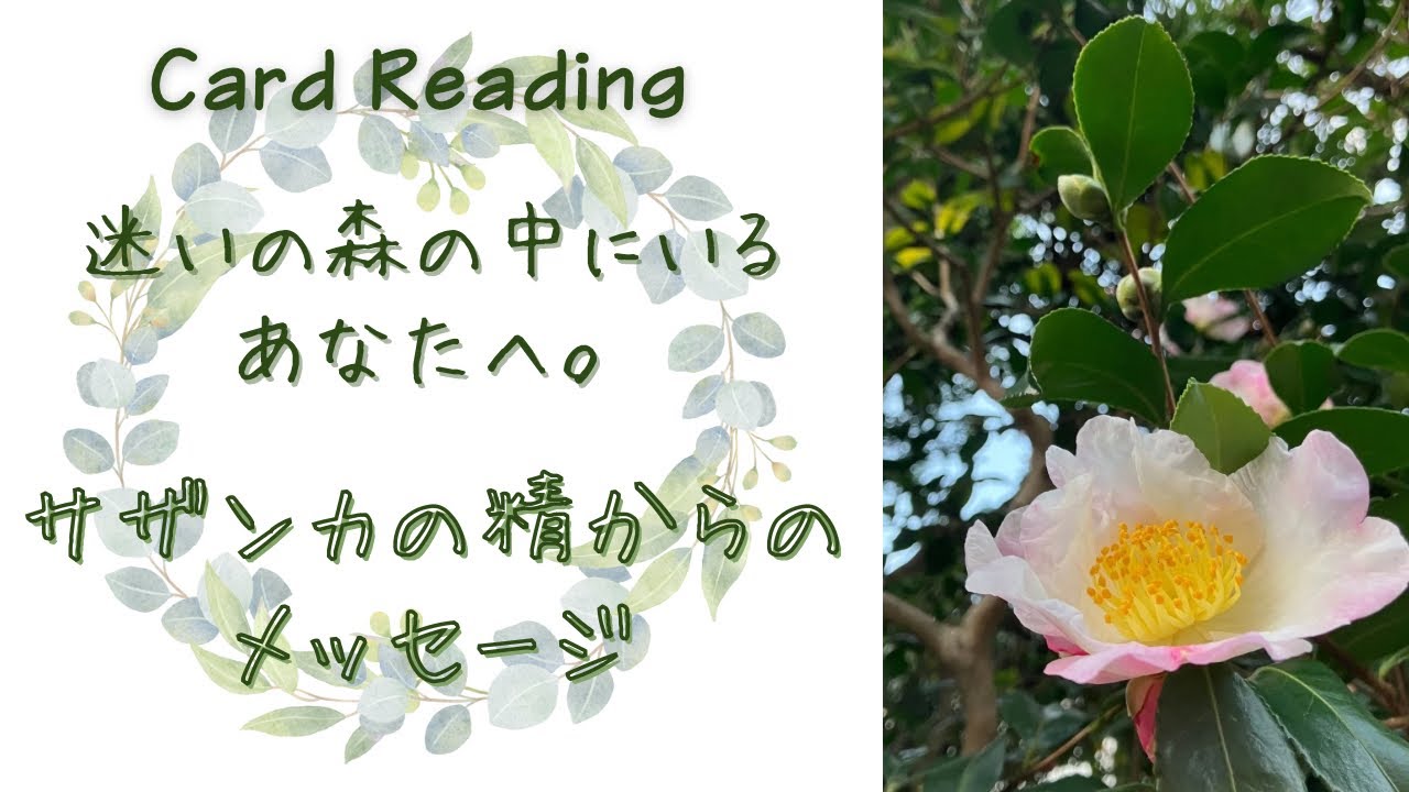 【3択】迷いの森の中にいるあなたへ🌳サザンカの精からのメッセージ✨