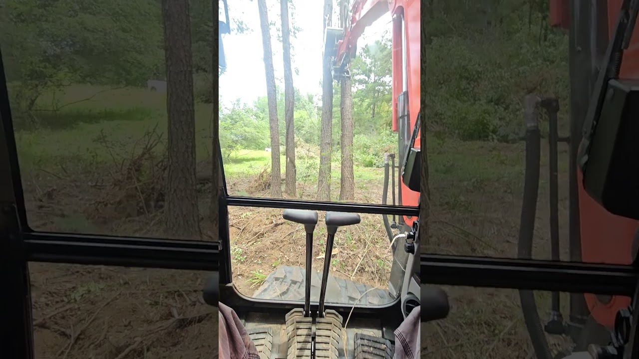 Kubota kx080-5 pushing two pine trees over.