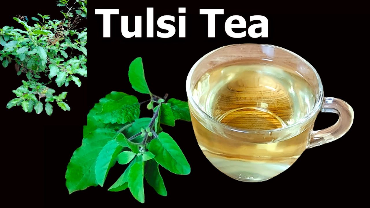 Tulsi tea recipe | Holy basil tea | Step by step - How to make Tulsi tea Recipe