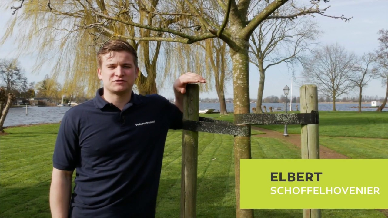 Zelf een boom planten met boompalen?  Zo doe je dat!