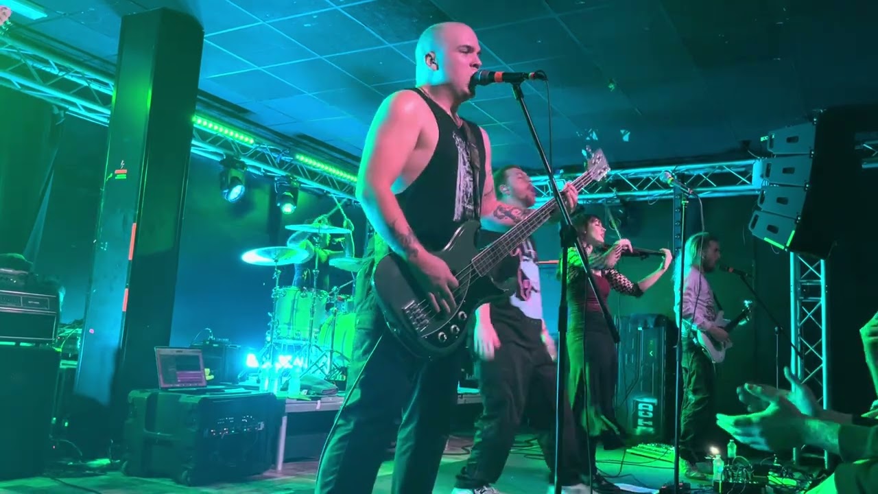 The Callous Daoboys live - Pushing the Pink Envelope