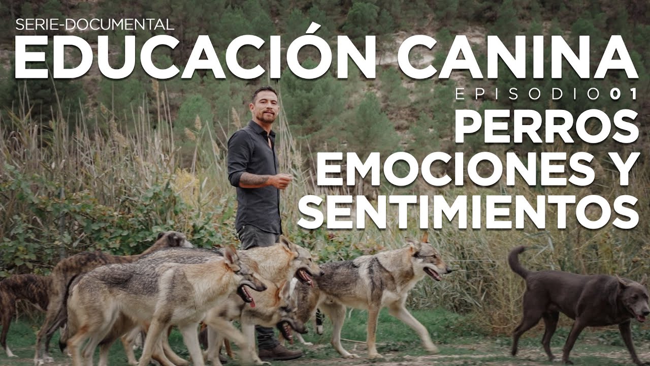 EDUCACIÓN CANINA E01 (Serie-Documental) | ´PERROS, EMOCIONES Y SENTIMIENTOS`.