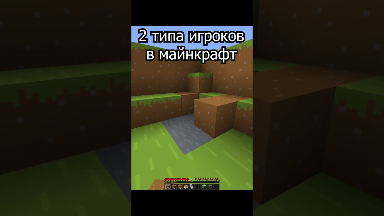 2 Типа игроков в майнкрафт