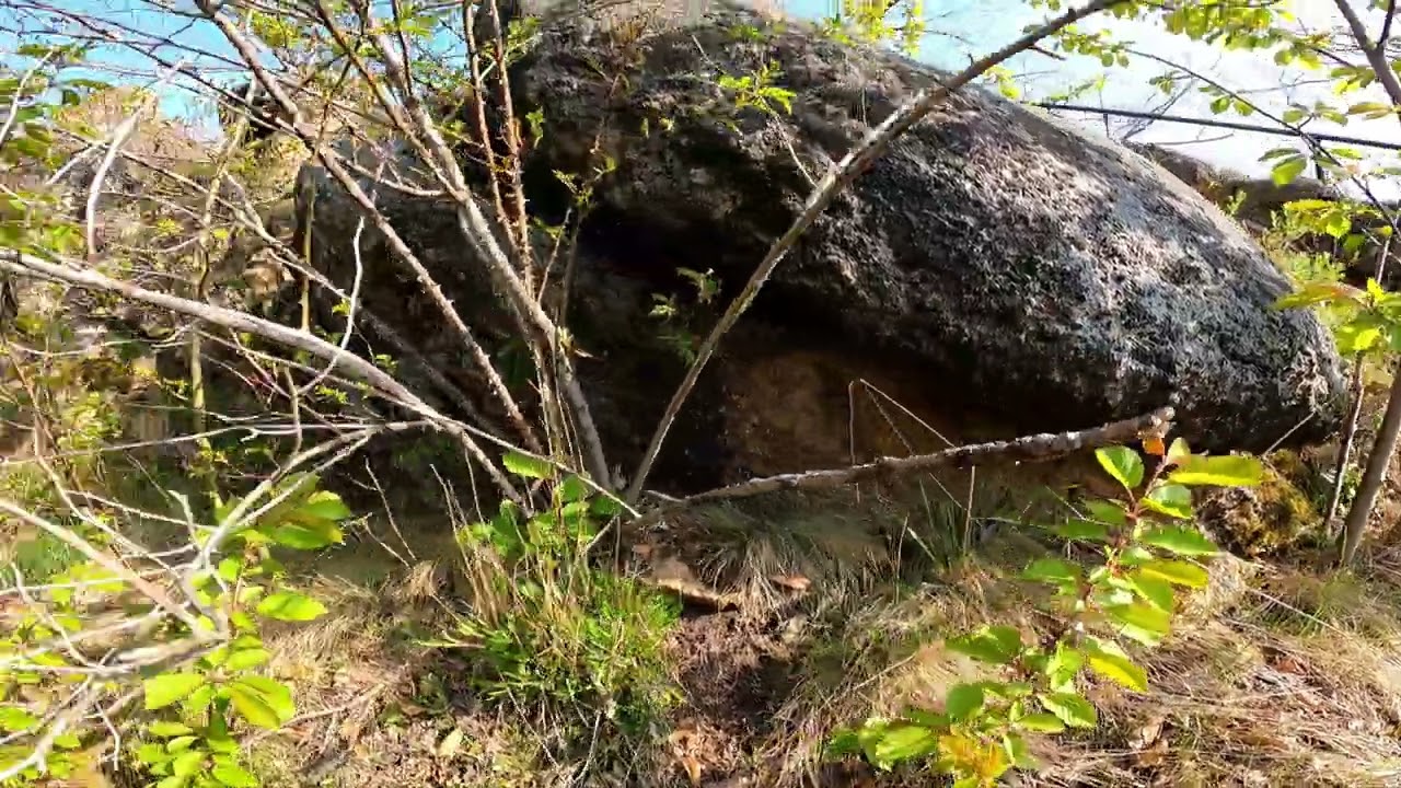 Wandern um Ilsenburg Teil 1 Ilsestein  Plessenburg Oberförster Koch Denkmal  ( HWN 30 7 25)