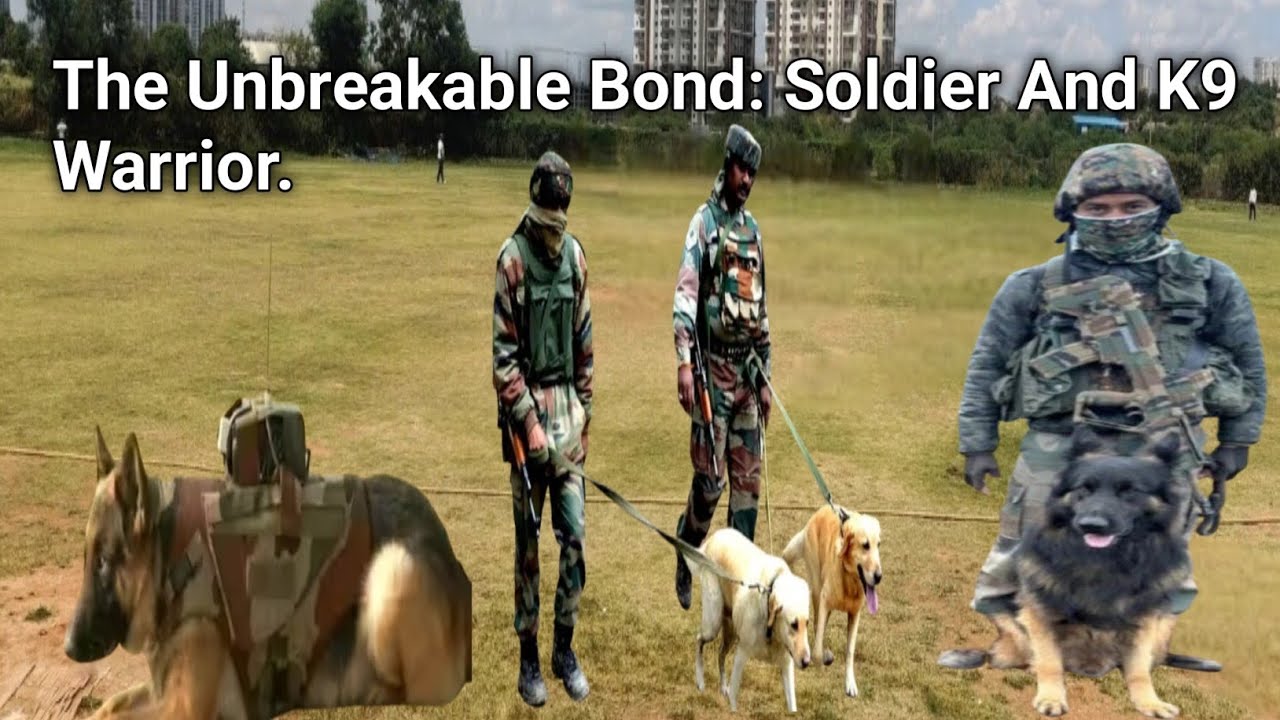 Silent Heroes of the Indian Army: The Untold Stories Of K9 Warriors.भारतीय सेना के जाँबाज डॉग्स !
