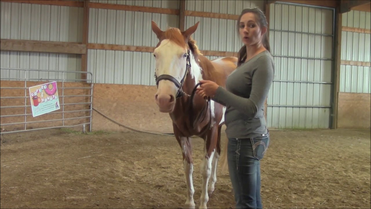 Showmanship: Stepping out of the Pivot