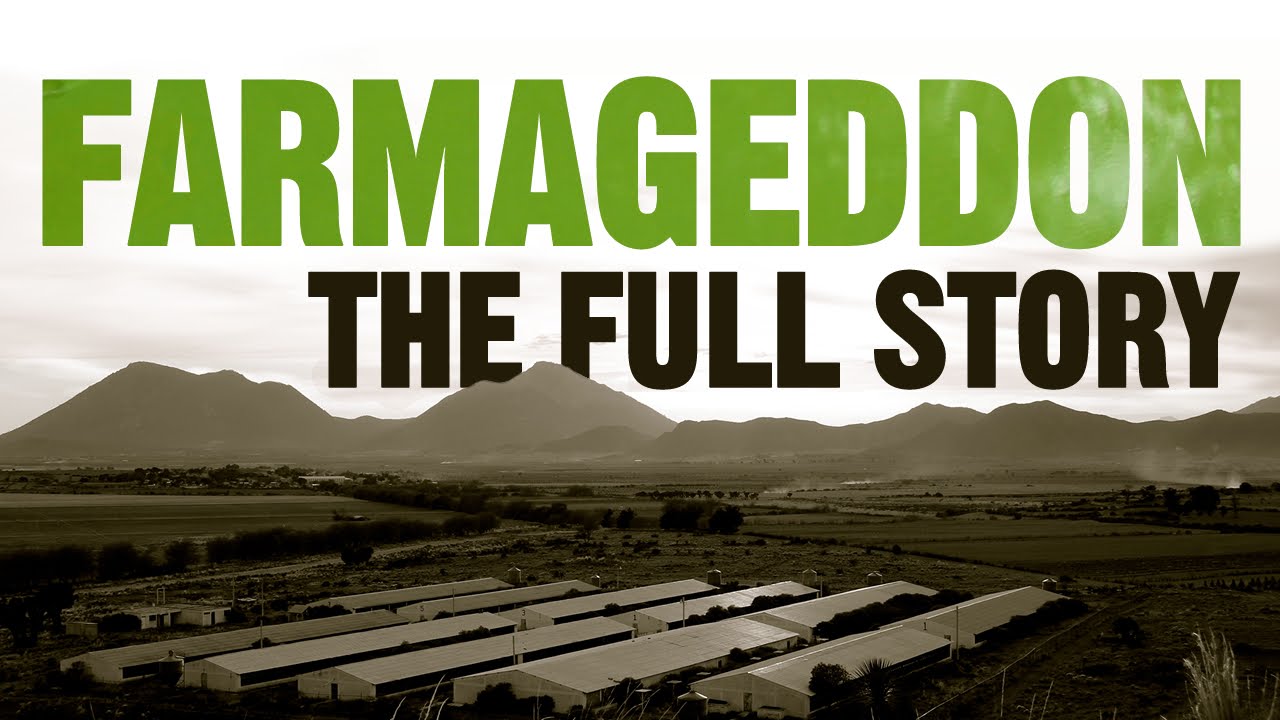 Farmaggedon -- The True Cost of Cheap Meat