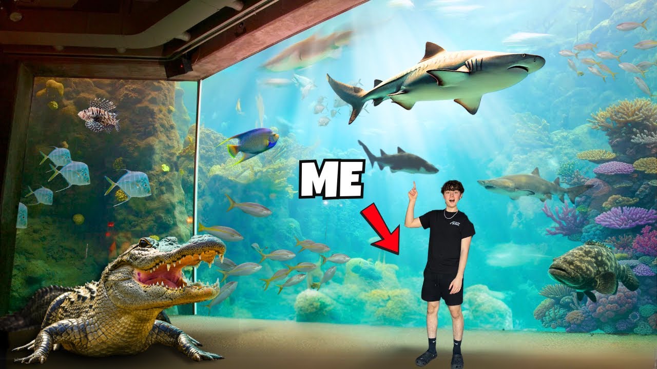 What’s inside FLORIDA’S LARGEST AQUARIUM??? (500,000 GALLONS!)
