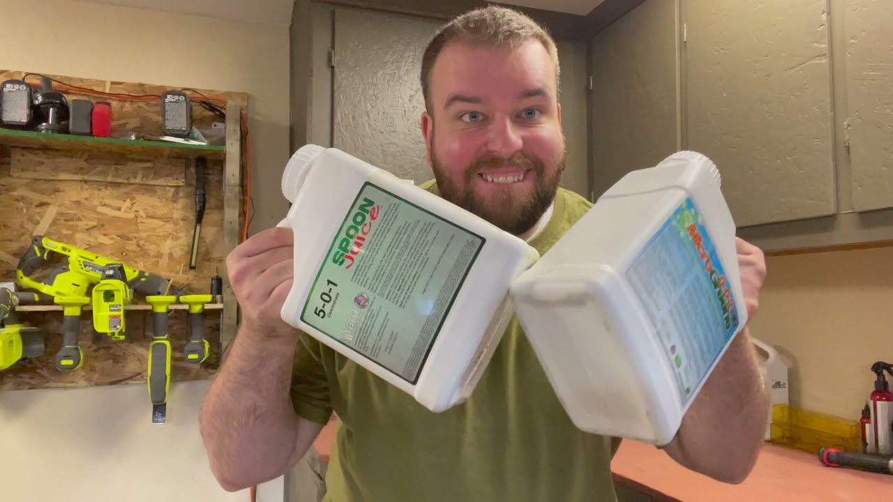 I made my own liquid fertilizer mixture and it ROCKS!