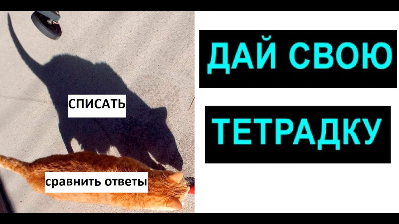 Лютые приколы. Дай свою тетрадку, ответы сравнить.