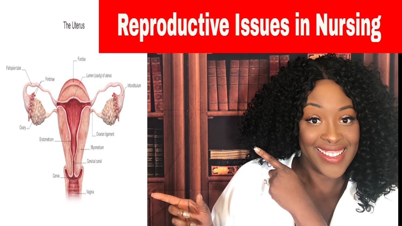 Reproductive Issues in Nursing