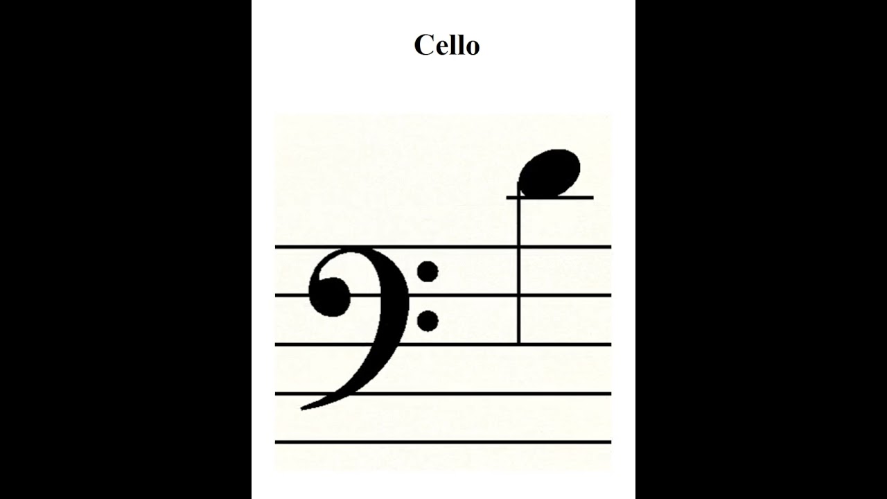Cello G String Notes (+ D & A String Notes)