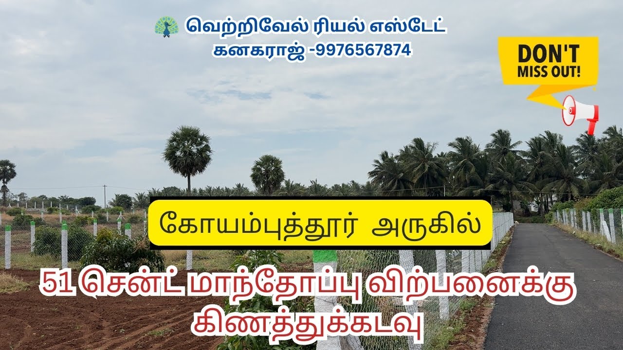#181) 51cent mango Farm land for sale in #Kinathukadavu #investmentproperty #pollachi