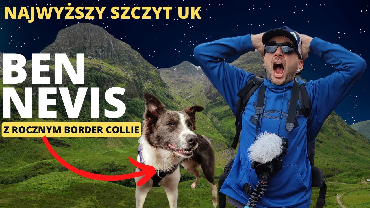 Zdobywamy Najwyższy Szczyt UK - Ben Nevis - Śnieg na Szlaku, czy roczny Border Collie da radę?