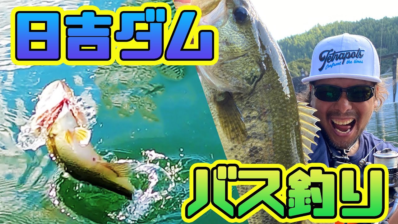 日吉ダムのバス釣り。野生過ぎる巨大両生類も現る!