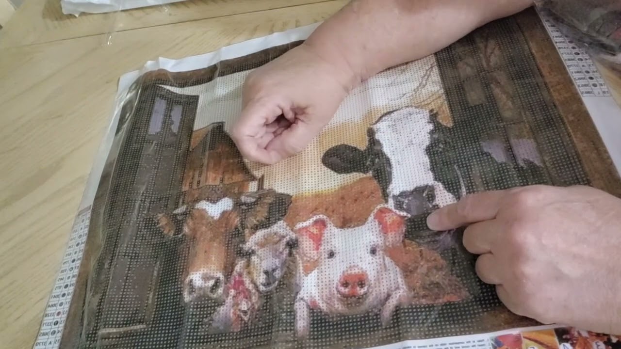 fgnormal Part 2 diamond painting unboxing #fgnormal