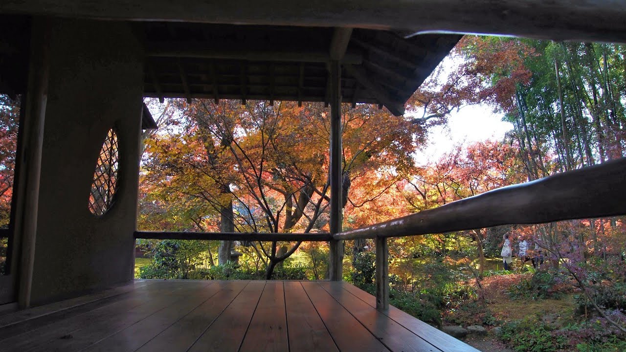 【茨城県筑西市】最勝寺の紅葉