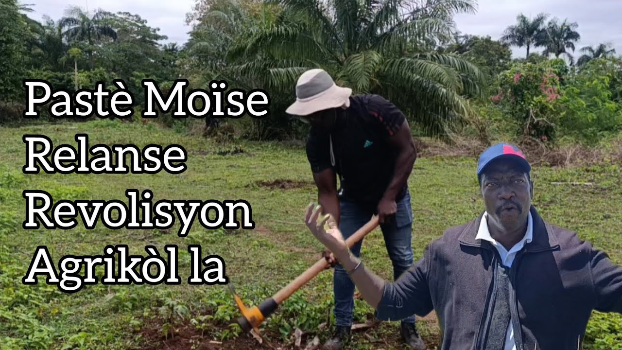 Gras Bondye revolisyon agrikòl la reprann nan plèn Maribawo. Viv Pastè Moïse 