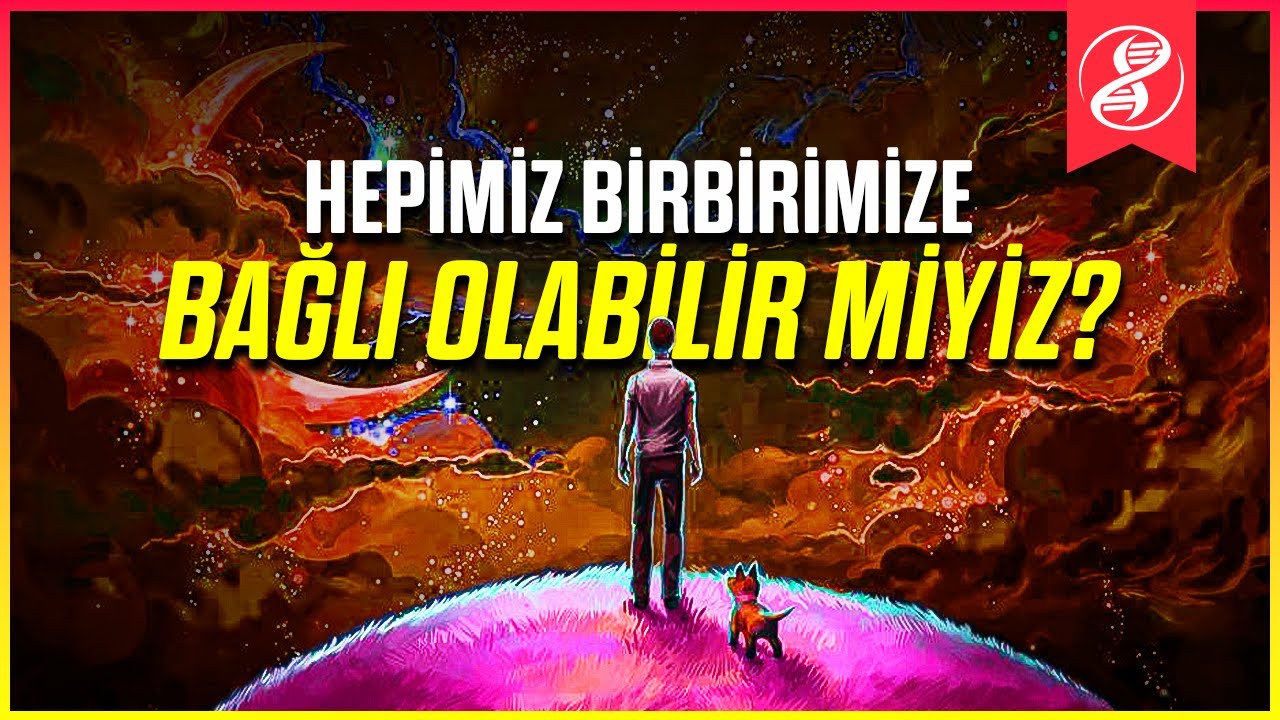 Her Şeyin Kökeni: Siz, Evrendeki Her Şeye Nasıl Bağlısınız?