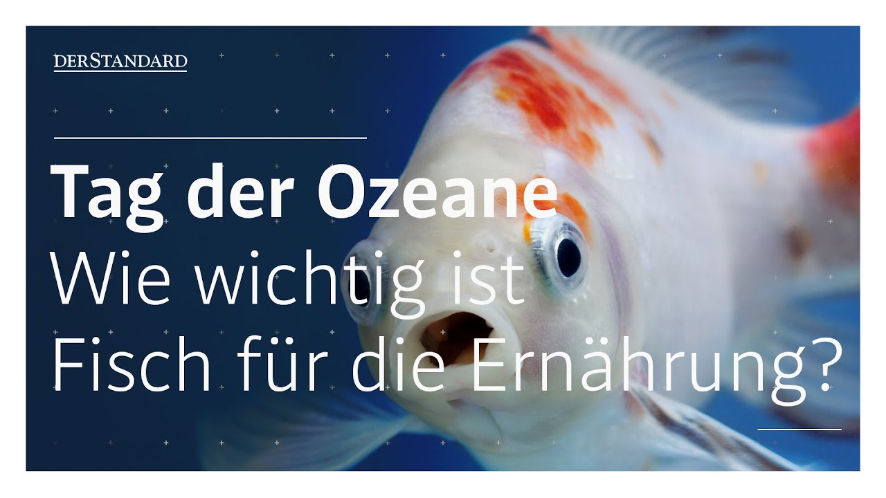 Gesunde Ern&auml;hrung: Brauchen wir Fisch &uuml;berhaupt?