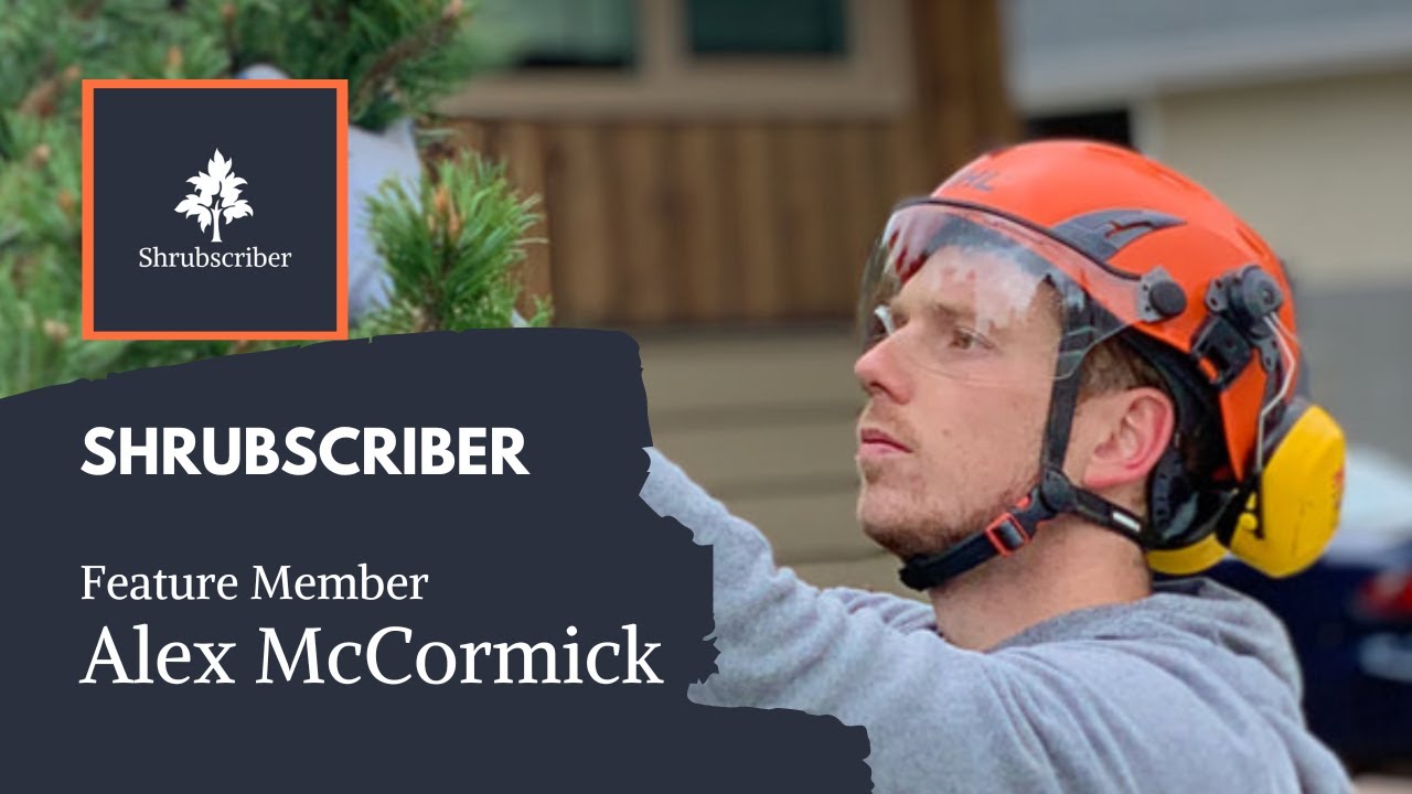 Shrubscriber, Feature Member Interview, Alex McCormick